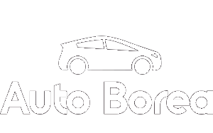 AutoBorea